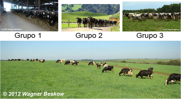 Três grupos de países e seus sistemas de produção de leite
